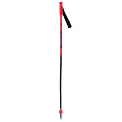 Rossignol Batons De Ski Hero Gs Junior